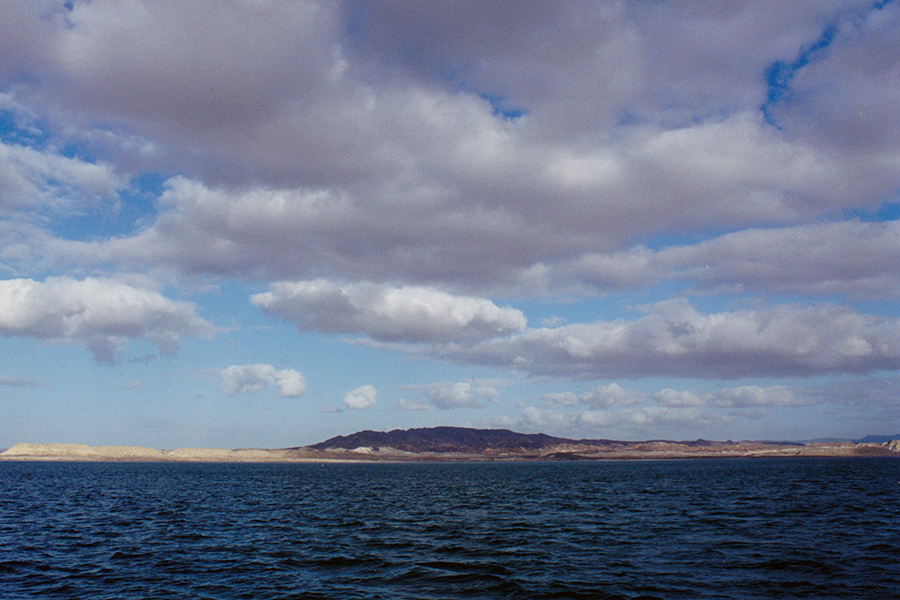 Another Beautiful day in the  Turtle Bay Neighborhood