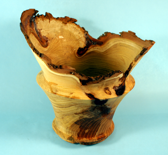Vase, Black Locust, Unfinished